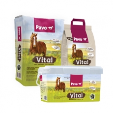 Pavo Vital - Daily vitamin and mineral balancer